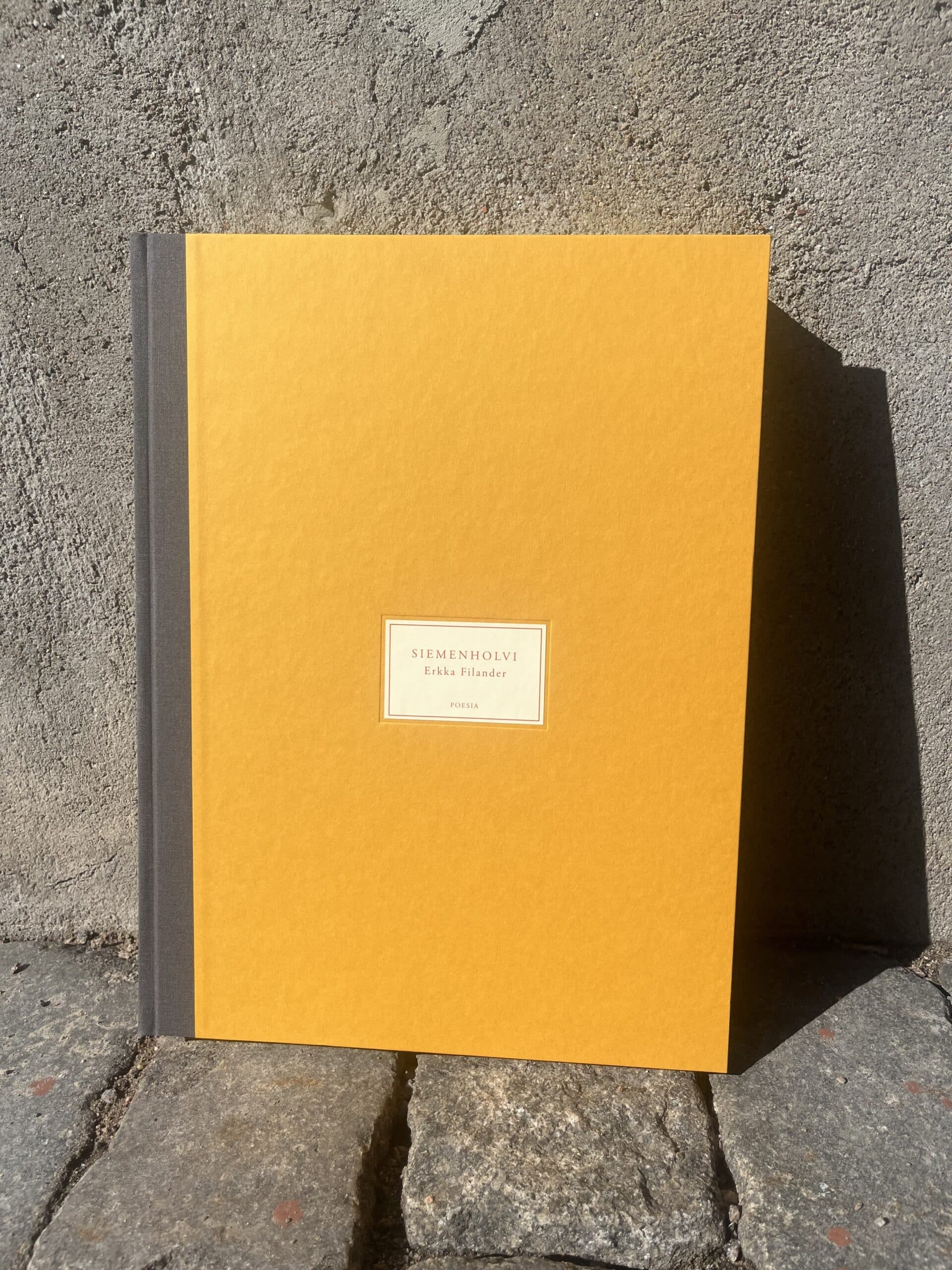 Kuvassa Siemenholvi-teos kivetyksellä, betonista taustaa vasten.