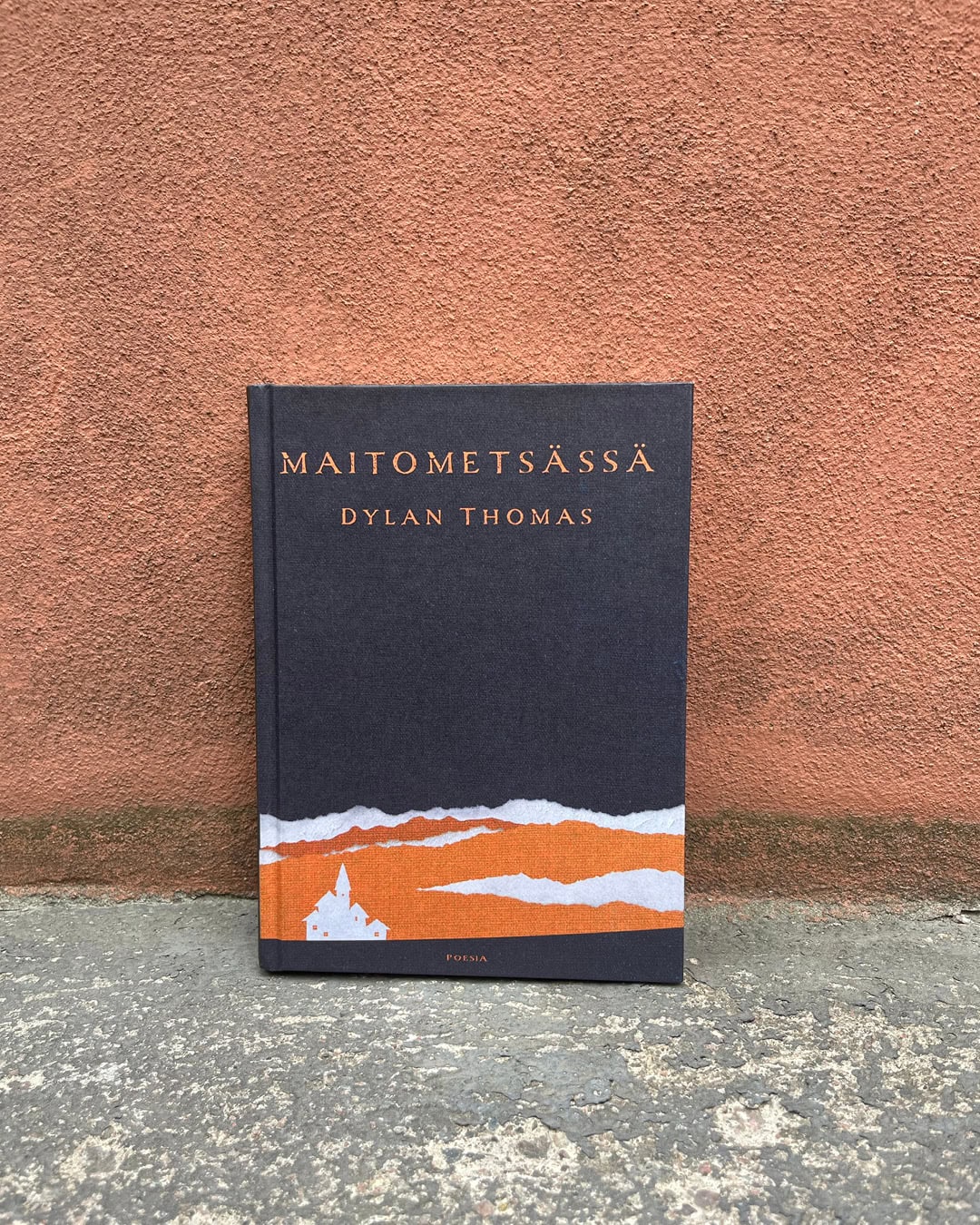 kuvassa Maitometsässä-kirja betonisella alustalla vasten punertavaa rapattua taustaa.